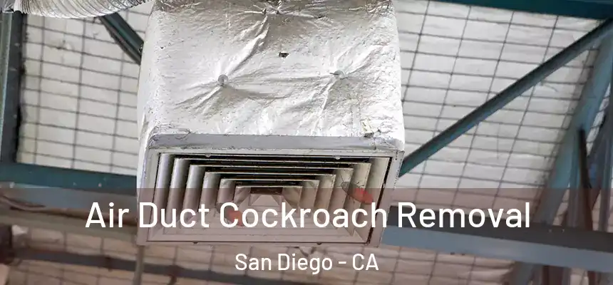 Air Duct Cockroach Removal San Diego - CA