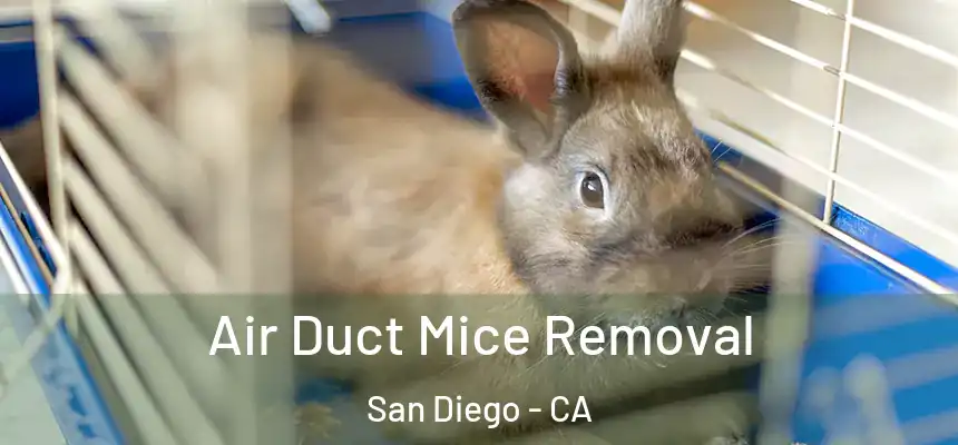 Air Duct Mice Removal San Diego - CA