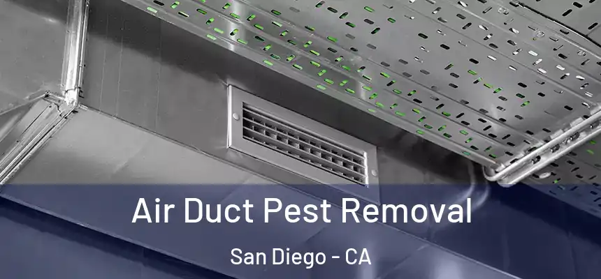 Air Duct Pest Removal San Diego - CA