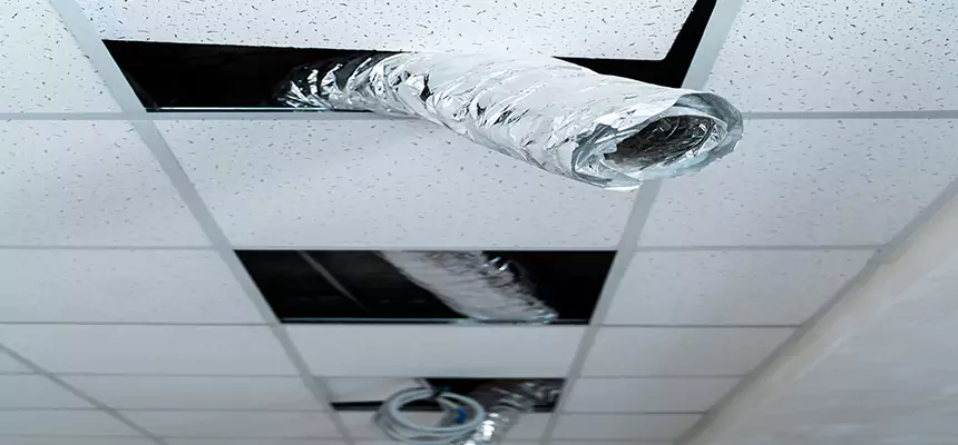 Affordable HVAC Sanitizing After Pest Removal in San Diego