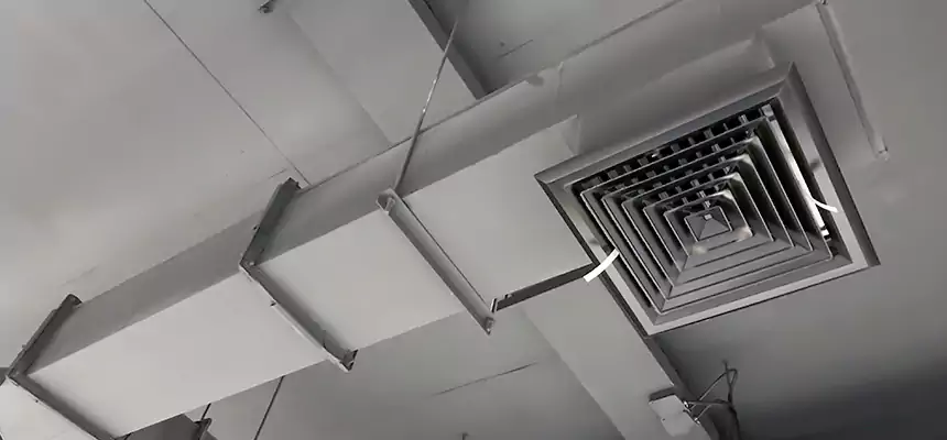 Our Rodent Droppings In Vents Services in San Diego, CA