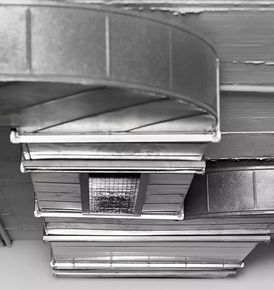 Professional Air Duct Pet Hair Removal in San Diego, CA