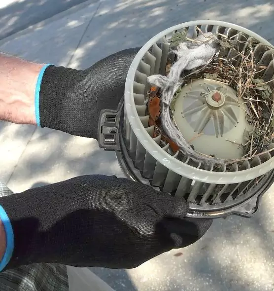 About Air Duct Rat Removal in San Diego, CA