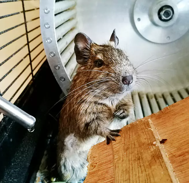 Why Homeowners & Businesses Trust Us San Diego, CA?