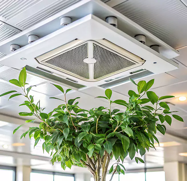 Why Homeowners & Businesses Trust Us in San Diego, CA?