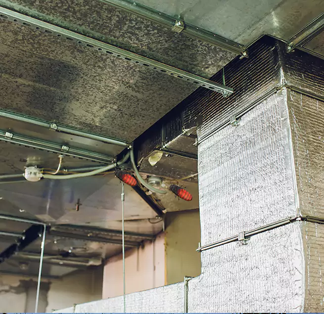 Why Homeowners & Businesses Trust Us San Diego, CA?