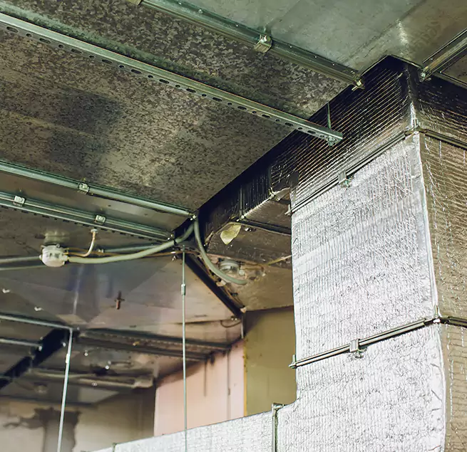 Why Homeowners & Businesses Trust Us in San Diego, CA?